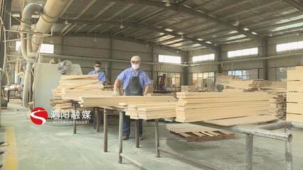 新袁鎮 嚴格對照標準，扎實推進木材加工與家具制造業轉型升級