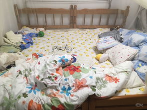 巧妙合并與定制 如何將兩張1.2米床打造為舒適大床體驗(yàn)