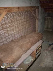 低價處理 優質棕床及家具電器，實惠便捷帶回家